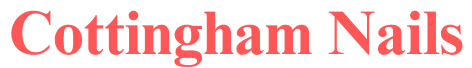 Main Header Logo
